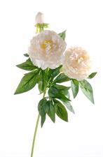 PEONY PEACH 73CM.