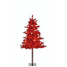 ALBERO ROSSO C. TRONCO