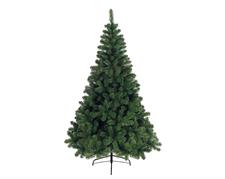 IMPERIAL PINE H 210 CM